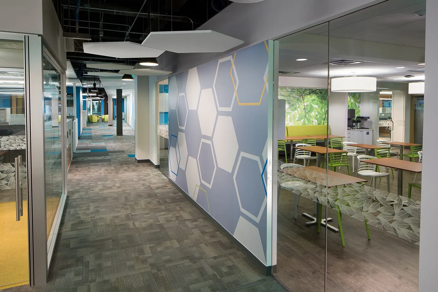 Sheridan Healthcare 010020