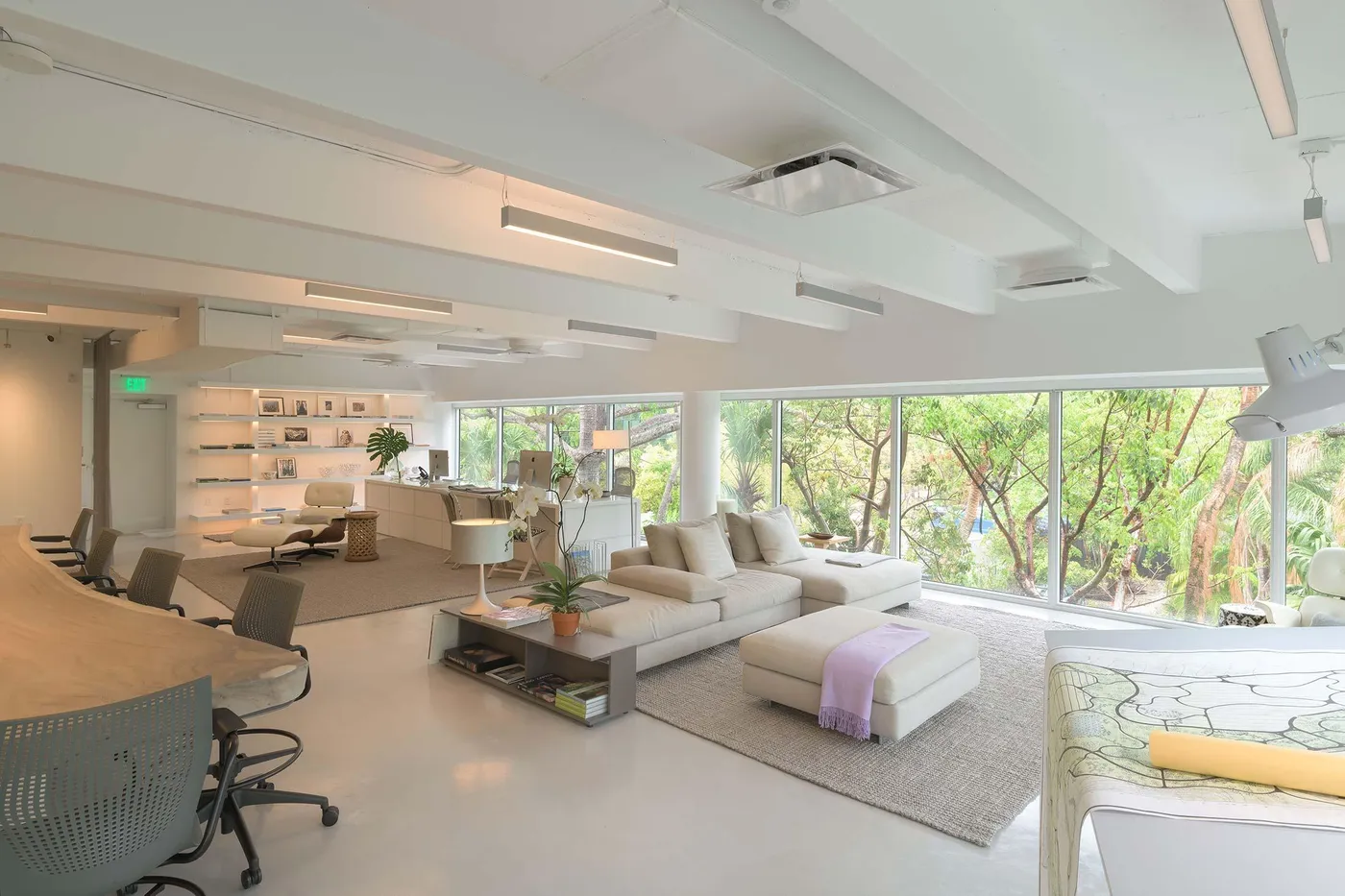 Raymond Jungle D852753 Edit Edit