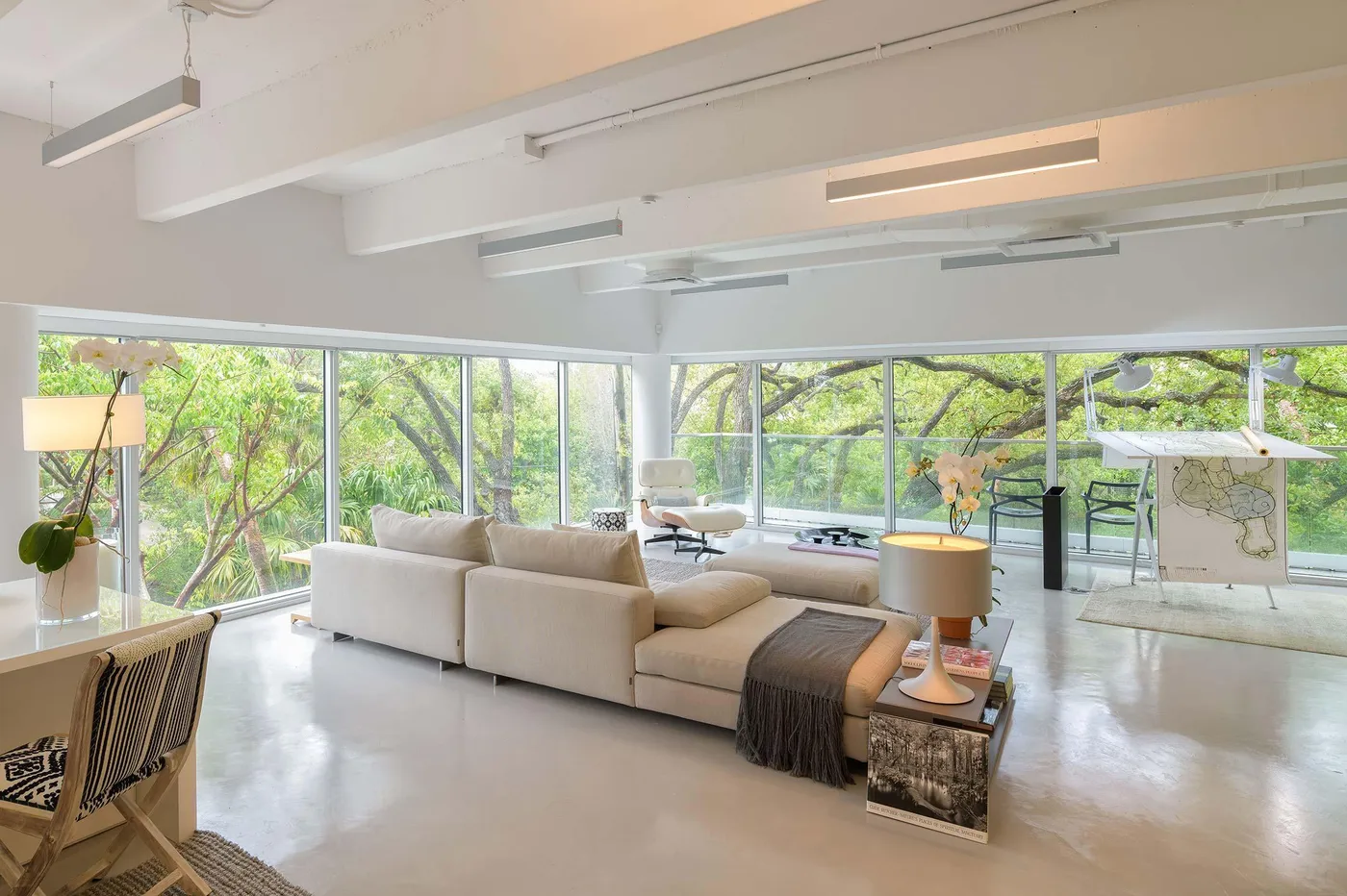 Raymond Jungle D852733 Edit Edit