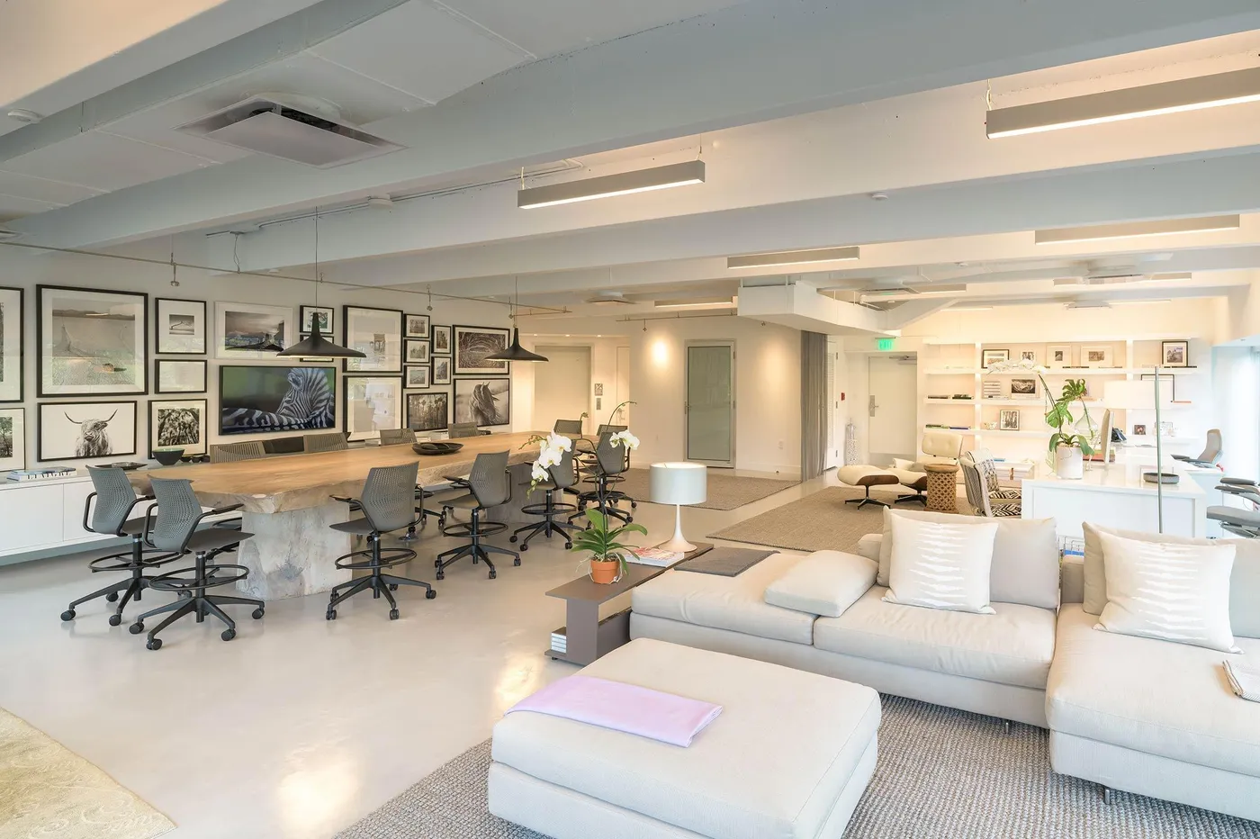 Raymond Jungle D852956 Edit Edit