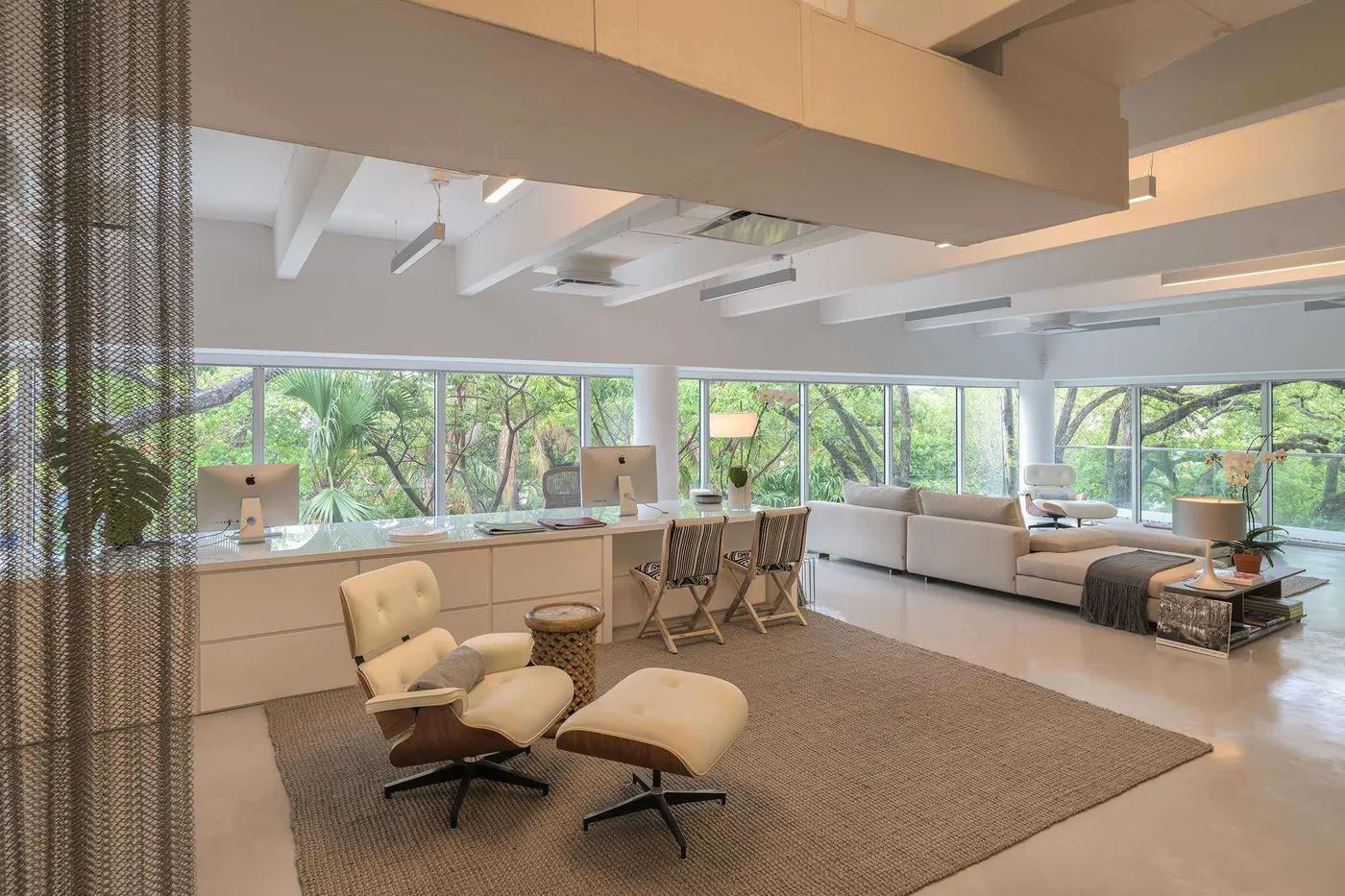 Raymond Jungle D852728 Edit 2 Edit