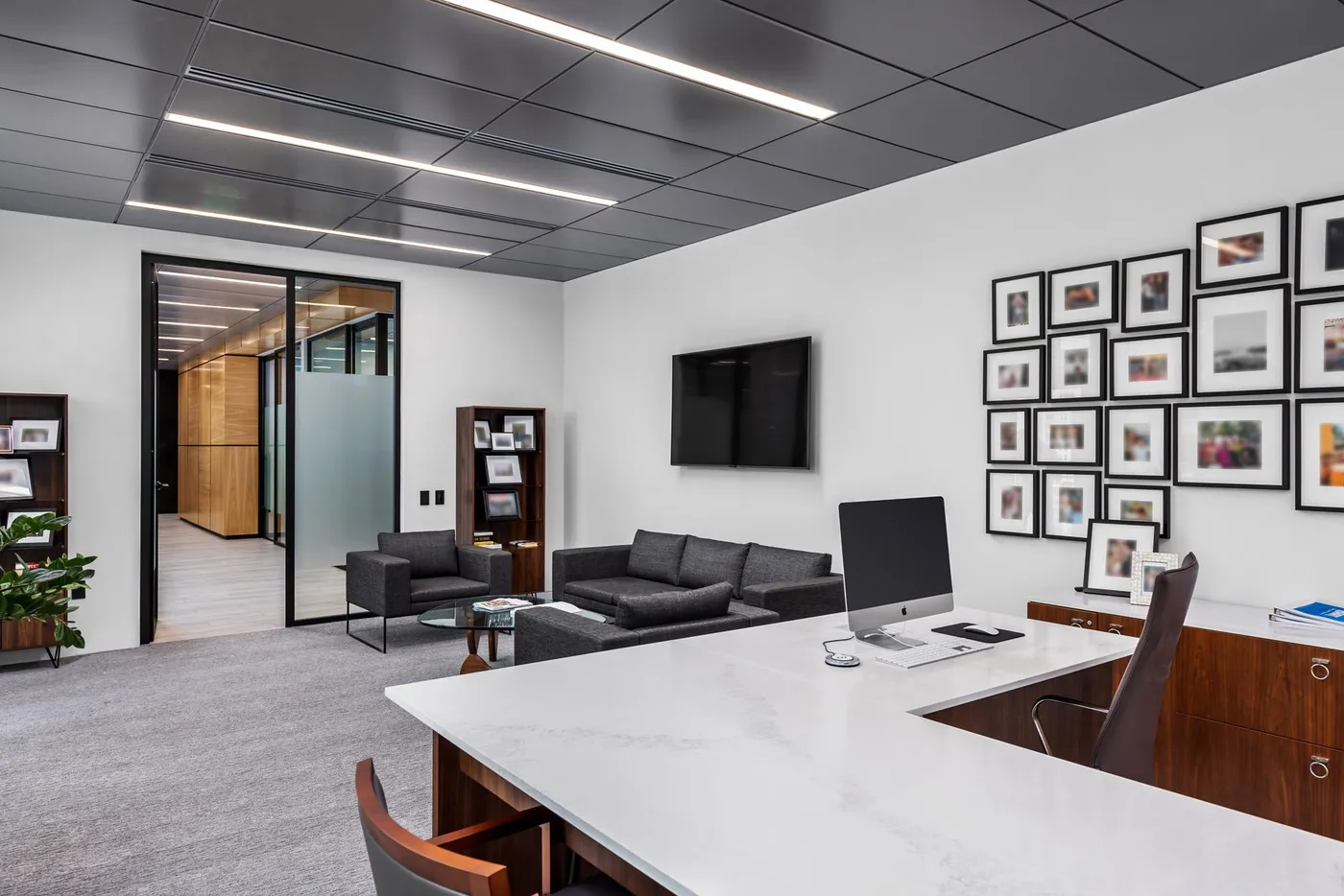 Techtronic Industries ZOL 3195 G copy