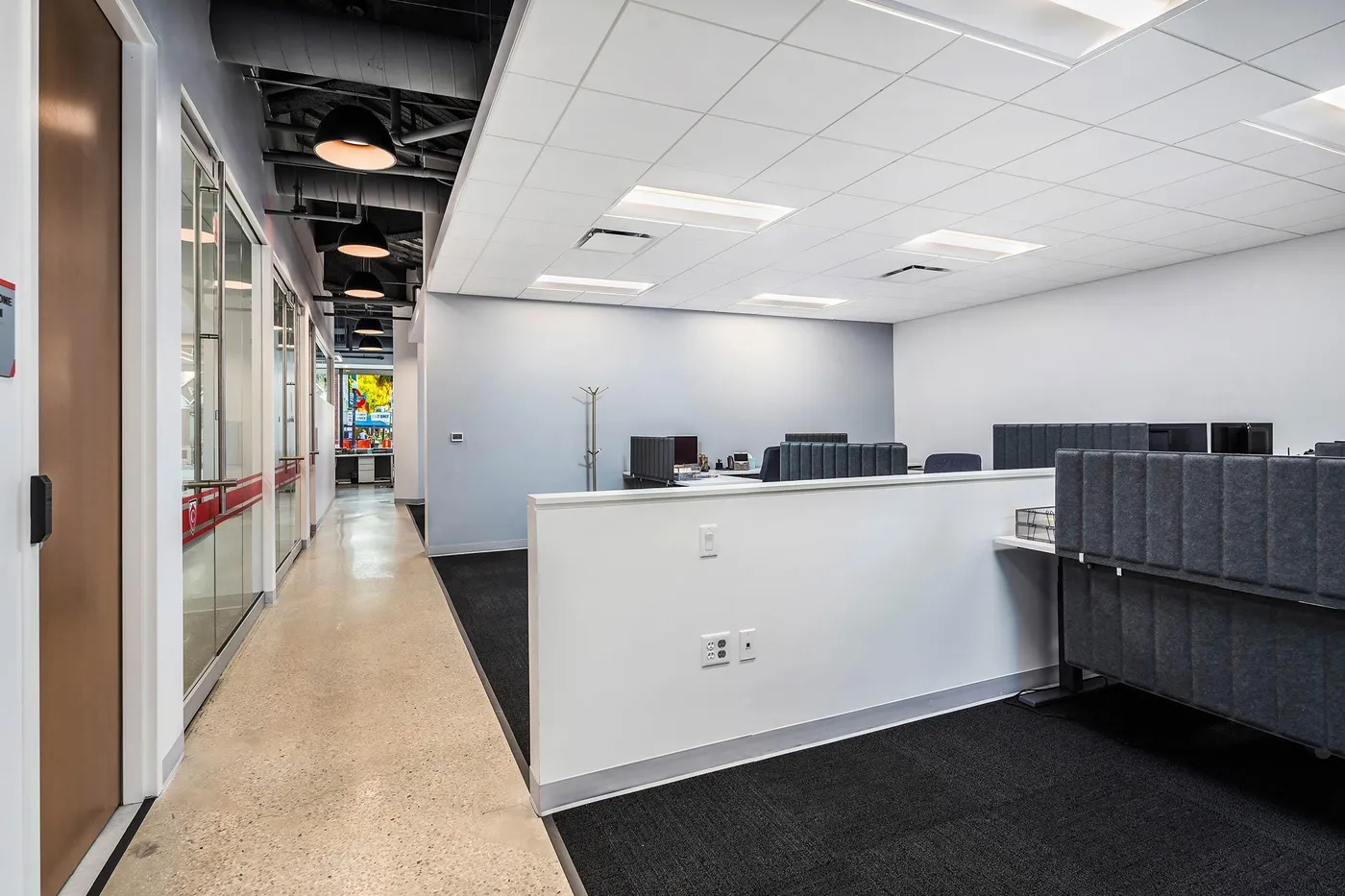 Capella University MG 6486 G